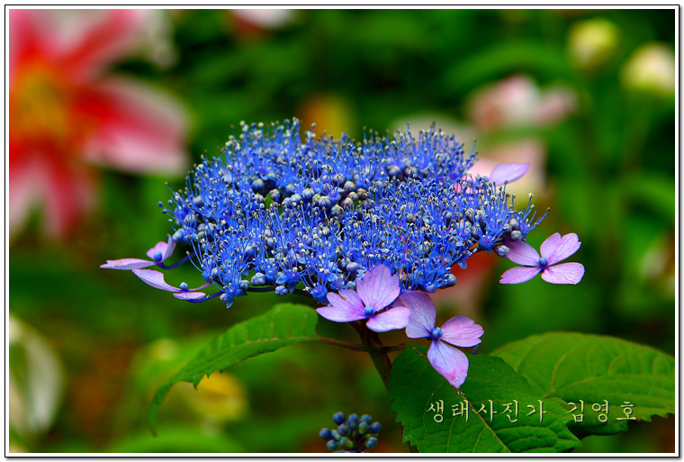 110703_msspension103450.jpg