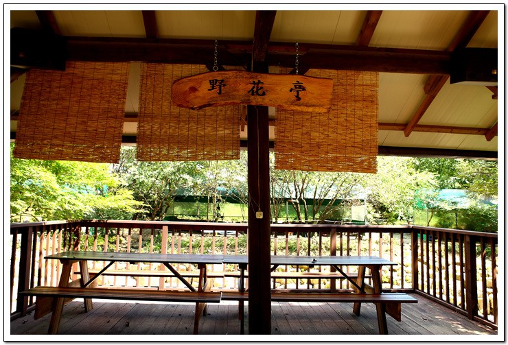 5_110903_002801.jpg